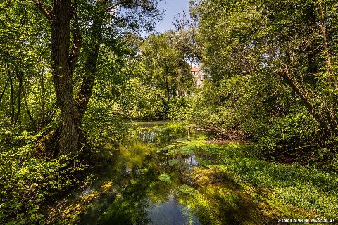 Gemeinde Mining Bezirk Braunau Frauenstein Bachlauf hinter der Burg (Dirschl Johann) Österreich BR